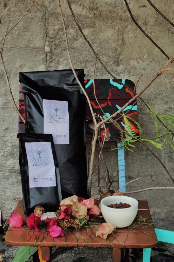 20240301135426_IMG_8519-01