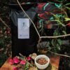 Café Tostado Abrazo de la Montaña - Tradición Colombiana
